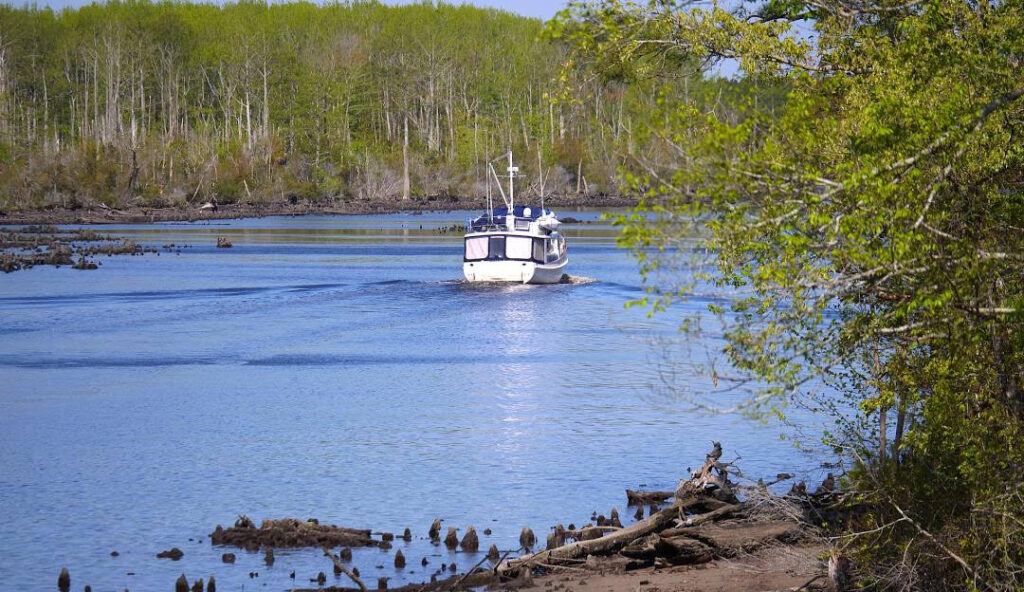 A small white boat traveling along a calm, tree-lined section of the Chesapeake Bay on a clear spring day.